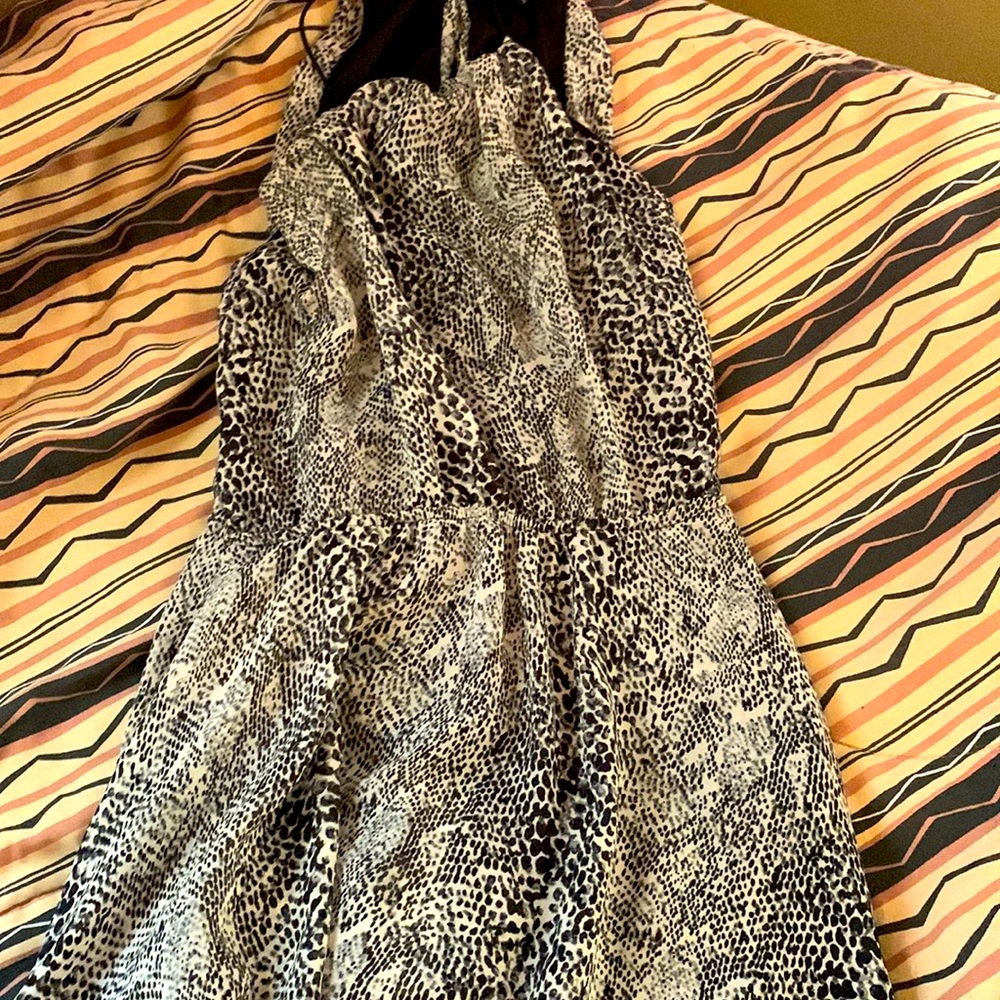 Blk wth Snake print dress by poof!